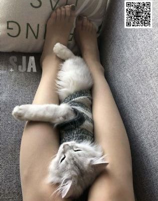 郎才女貌电视剧